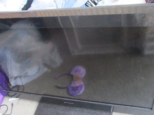 Photo 34