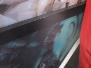Photo 36