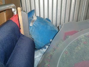 Photo 6