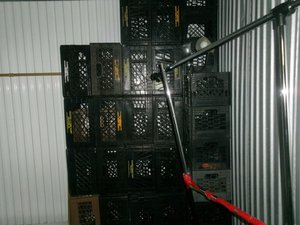 Photo 5