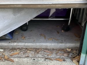 5 x 5 storage unit in Ocala, FL