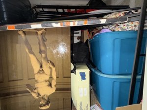 5 x 5 storage unit in Studio City, CA
