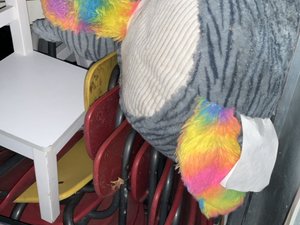 Photo 8