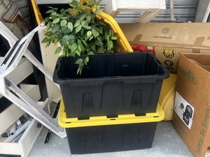 10 x 10 storage unit in Rosenberg, TX