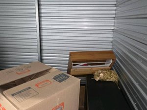 Photo 6