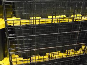 10 x 5 unit in Hammond