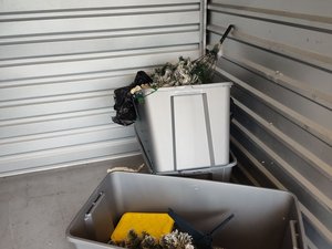8 x 8 storage unit in Tampa, FL