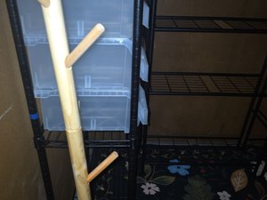 Photo 8