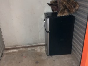 5 x 5 storage unit in Huntsville, AL