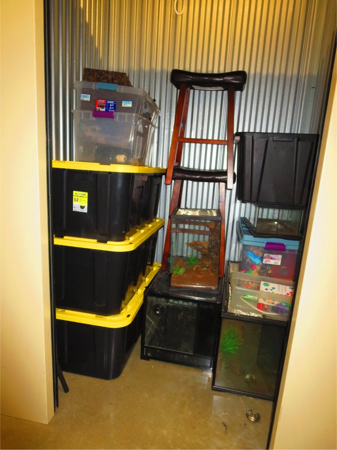 5 x 5 storage unit in Ankeny, IA