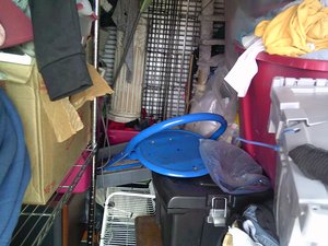 Photo 7