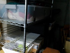 Photo 17