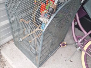 Photo 7
