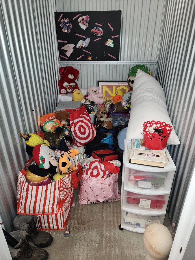 4 x 6 storage unit in Bronx, NY