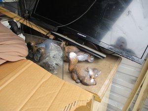 Photo 9
