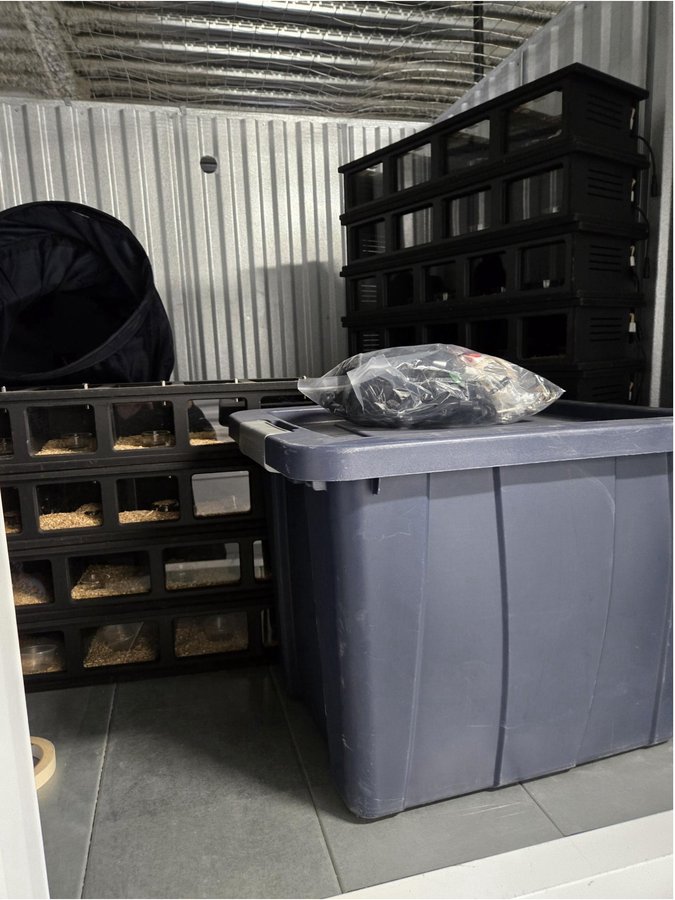 5 x 5 storage unit in Orlando, FL