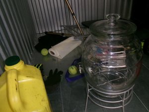 Photo 9