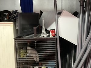 Photo 4