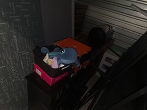 Photo 5