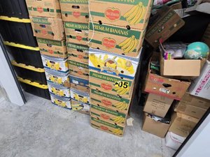 10 x 10 storage unit in Pinellas Park, FL