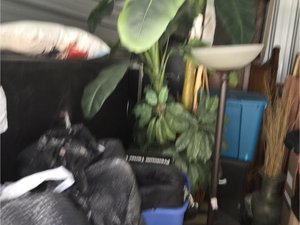 10 x 15 unit in St Petersburg