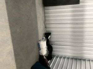 10 x 10 unit in North Charleston