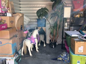 10 x 10 unit in New Port Richey