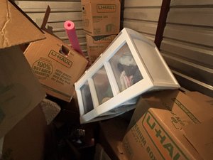 10 x 10 unit in Palm Harbor